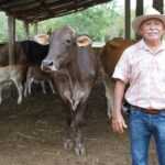 Programa Renacimiento Ganadero fortalece producción pecuaria en Yucatán