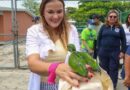 Resguardan lorito rescatado en la Colonia Vergel lll