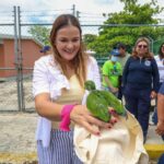 Resguardan lorito rescatado en la Colonia Vergel lll