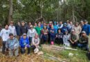 Especialistas crean red de carbono azul para conservar ecosistemas costeros