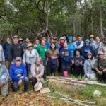 Especialistas crean red de carbono azul para conservar ecosistemas costeros