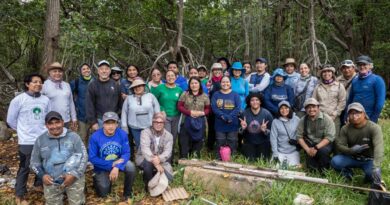 Especialistas crean red de carbono azul para conservar ecosistemas costeros