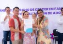 Dos nuevas historias de familia nacen con amor y protección