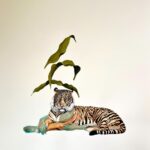 Llega a Yucatán exposición con más de 100 años de dibujo mexicano