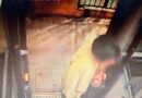LOCALIZAN A JOVEN REPORTADO COMO EXTRAVIADO
