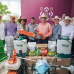 Renace el campo yucateco con inversión y respaldo a productores del oriente