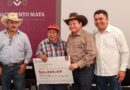 El Renacimiento Maya se siembra en el sur de Yucatán