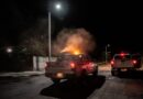 Refuerzan protección contra enfermedades transmitidas por vector