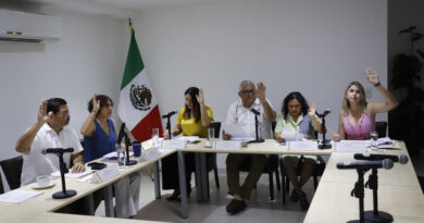Aprueban dictamen para fortalecer Código Penal en materia de inteligencia artificial y delitos digitales