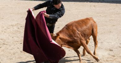 JUSSEF REGRESARÁ A ESPAÑA PARA TOREAR EN MADRID