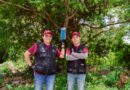 Revisión de heridas, clave para prevenir infestaciones por gusano barrenador