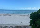 Gobierno de Yucatán reafirma la protección del manglar y la duna costera en Chuburná