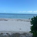 Gobierno de Yucatán reafirma la protección del manglar y la duna costera en Chuburná