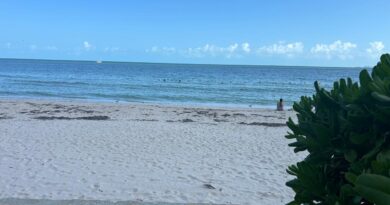 Gobierno de Yucatán reafirma la protección del manglar y la duna costera en Chuburná