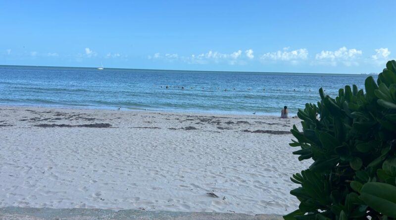 Gobierno de Yucatán reafirma la protección del manglar y la duna costera en Chuburná