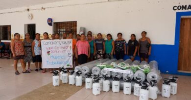 Impulsan proyectos productivos de mujeres de Canakom