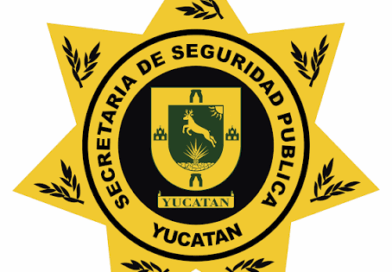 SSP MANTIENE VERIFICACIONES CONFORME A LA NORMATIVIDAD VIGENTE
