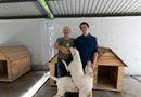 UMABA trabaja en una ruta para que perros de la Bojórquez puedan regresar con su propietario