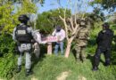 Profepa clausura 17 polígonos en la Reserva de la Biosfera Ría Celestún