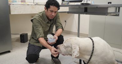 Ayuntamiento da seguimiento al caso de los perros de la colonia Bojórquez