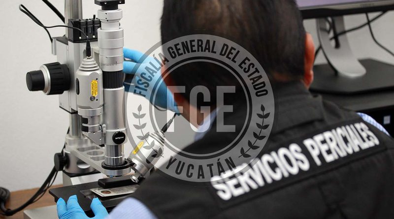 Imputado por agredir a un agente policíaco