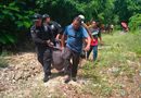 LOCALIZAN CON VIDA A ADULTO MAYOR EN TIZIMÍN