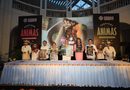 Mérida se prepara para vivir el Festival de las Ánimas 2026 “Recuerdos de corazón