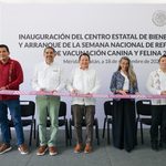 Renacimiento Maya refuerza la vacunación antirrábica y preserva 28 años sin rabia humana transmitida por perros