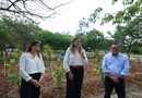 Cecilia Patron entrega primer jardín de lluvia para prevenir encharcamientos en Ciudad Caucel