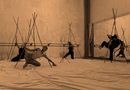 UNAY estrenará una obra sobre la riqueza de los manglares