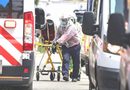 MUJER MUERE TRAS ATAQUE DE ABEJAS EN MÉRIDA