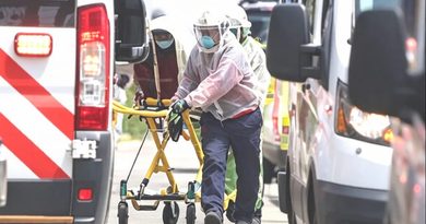 MUJER MUERE TRAS ATAQUE DE ABEJAS EN MÉRIDA