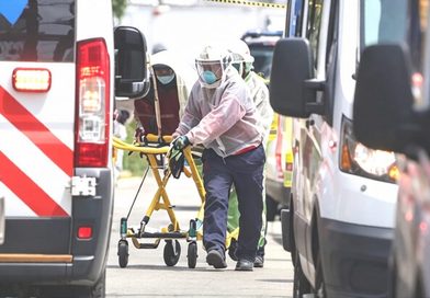 MUJER MUERE TRAS ATAQUE DE ABEJAS EN MÉRIDA