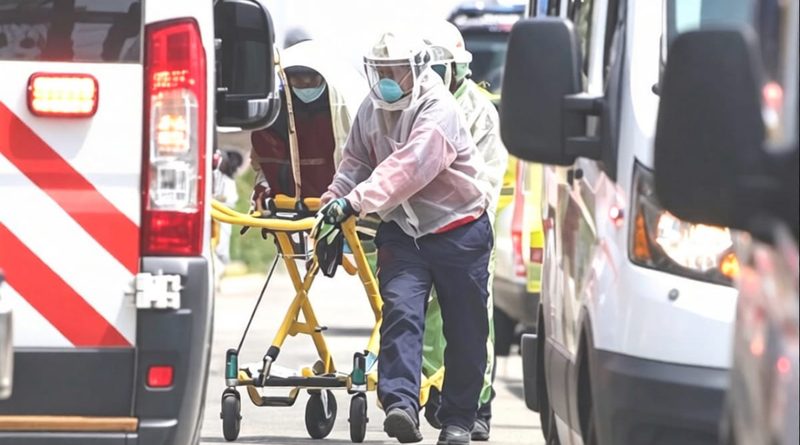 MUJER MUERE TRAS ATAQUE DE ABEJAS EN MÉRIDA