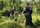 HALLAN A HOMBRE SIN VIDA EN MONTES DE LA CARRETERA MÉRIDA-CAMPECHE