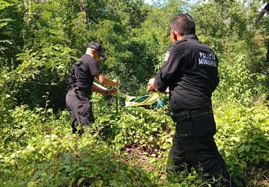 HALLAN A HOMBRE SIN VIDA EN MONTES DE LA CARRETERA MÉRIDA-CAMPECHE