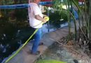 Ayuntamiento de Mérida inicia protocolos preventivos en el lago del Centenario y el humedal del Parque Ecológico del Poniente