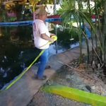 Ayuntamiento de Mérida inicia protocolos preventivos en el lago del Centenario y el humedal del Parque Ecológico del Poniente