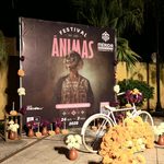 MÁS DE 3 MIL CICLISTAS LLENAN LAS CALLES DEL CENTRO DE MÉRIDA