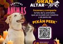 Pixán Peek, oportunidad para recordar a perros y gatos que dejaron huella