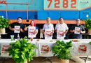 Taco Lover Fest se suma al Desfile de Catrinas y fortalece la oferta cultural y gastronómica de Mérida