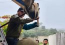 RESCATAN A OSO HORMIGUERO EN KANASÍN
