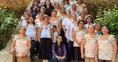 Cecilia Patrón promueve la autonomía económica de las mujeres con proyecto de meliponicultura