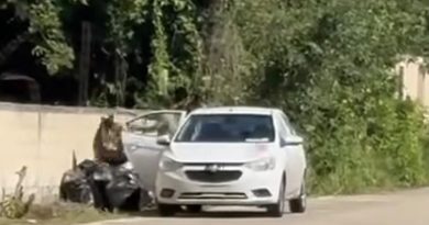Ayuntamiento solicita intervención del Juez Cívico por presunto depósito ilegal de basura en Valle Dorado